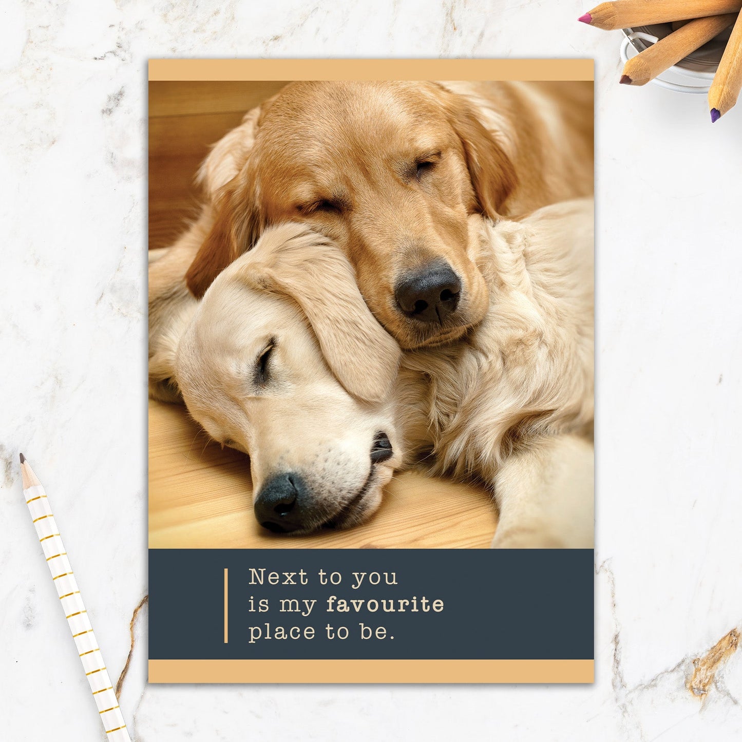 564-IOPE0214C | AN/Golden Dogs