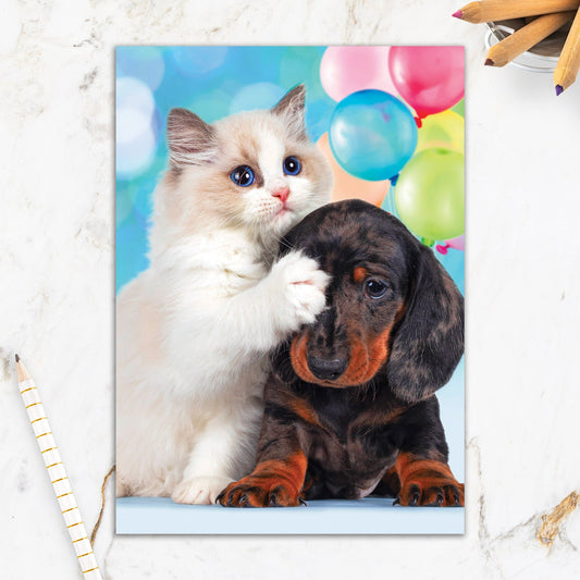 564-IOPE0222C | BD/Don't Look Now