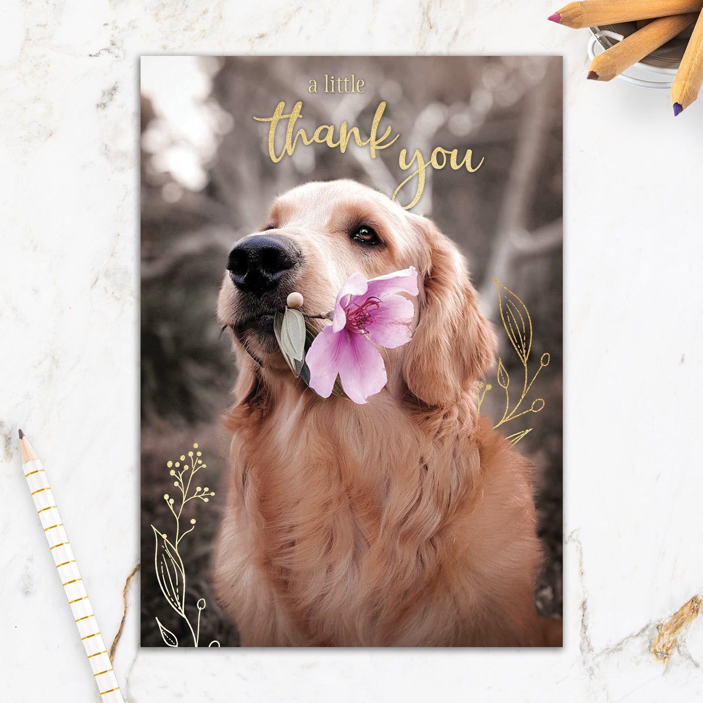 564-IOPE0230C | TY/Dog With Flower