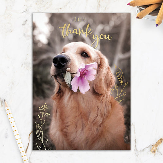 564-IOPE0230C | TY/Dog With Flower