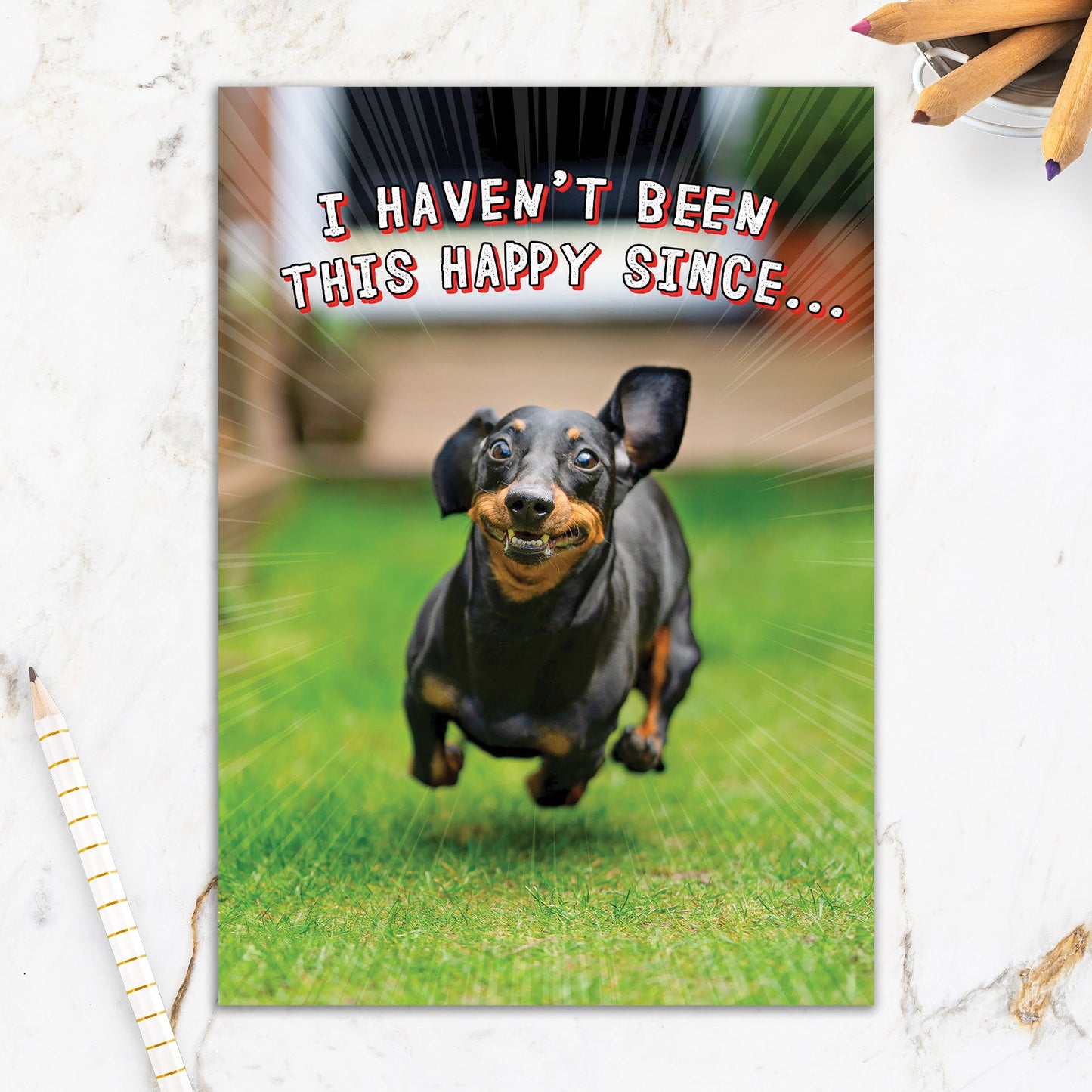 564-IOPE0234C | BD/This Happy Since