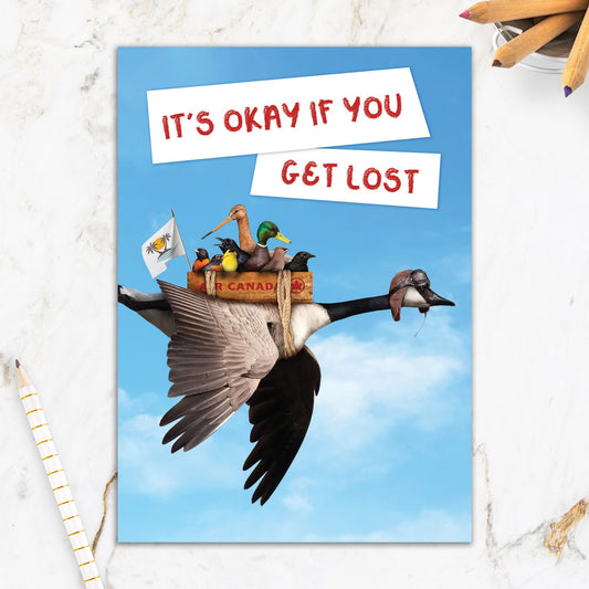 564-IOPE0255C | RT/Goose Pilot