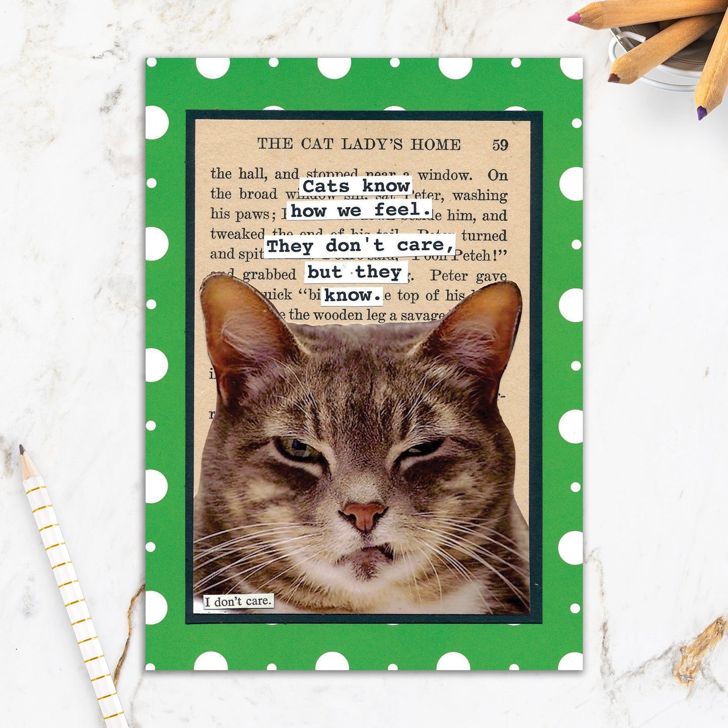 564-IOPE0292C | ED/Cats Know