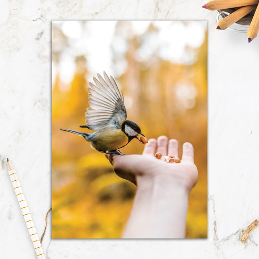 564-IOPE0303C | FR/Bird In Hand