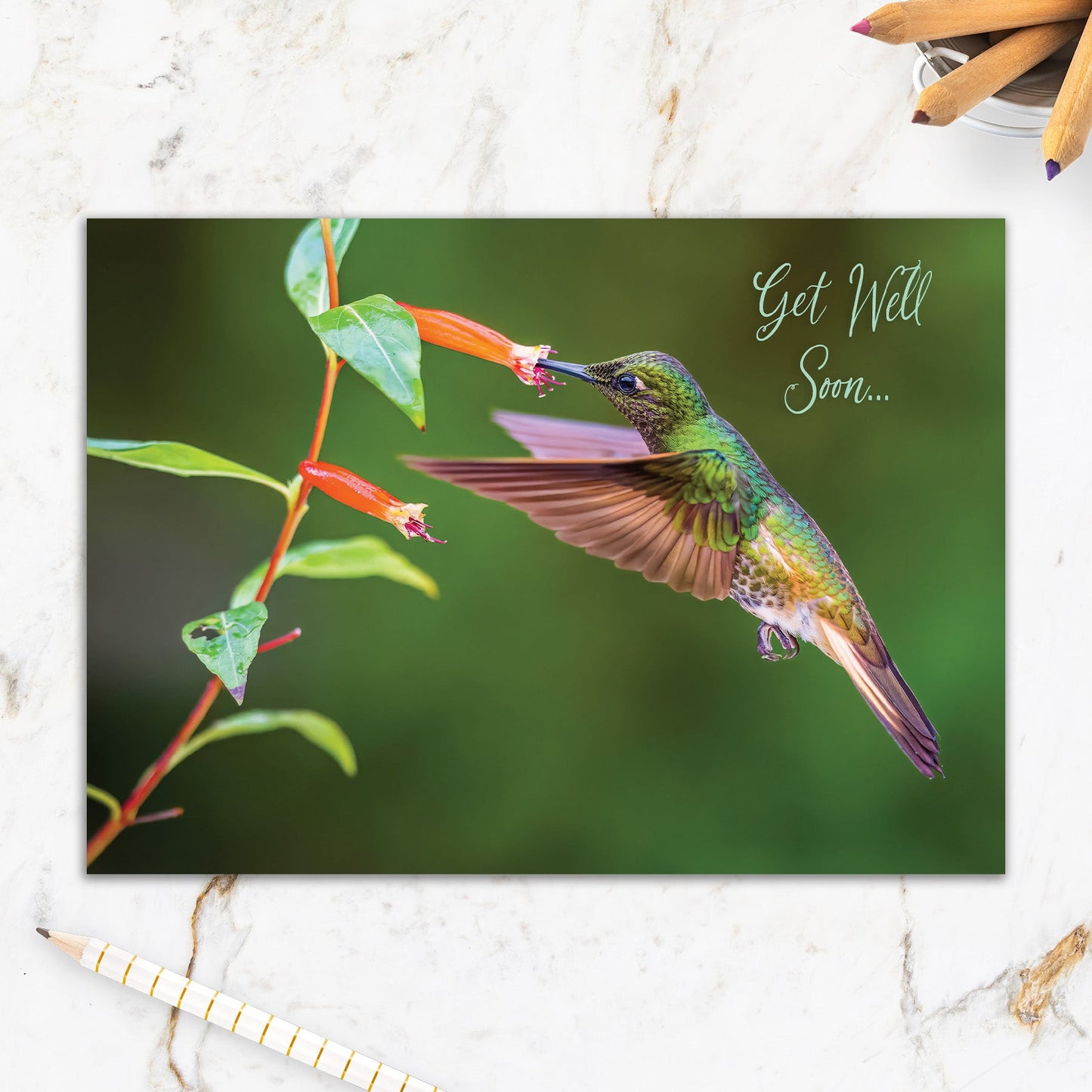 564-IOPE0304C | GW/Flying Hummingbird