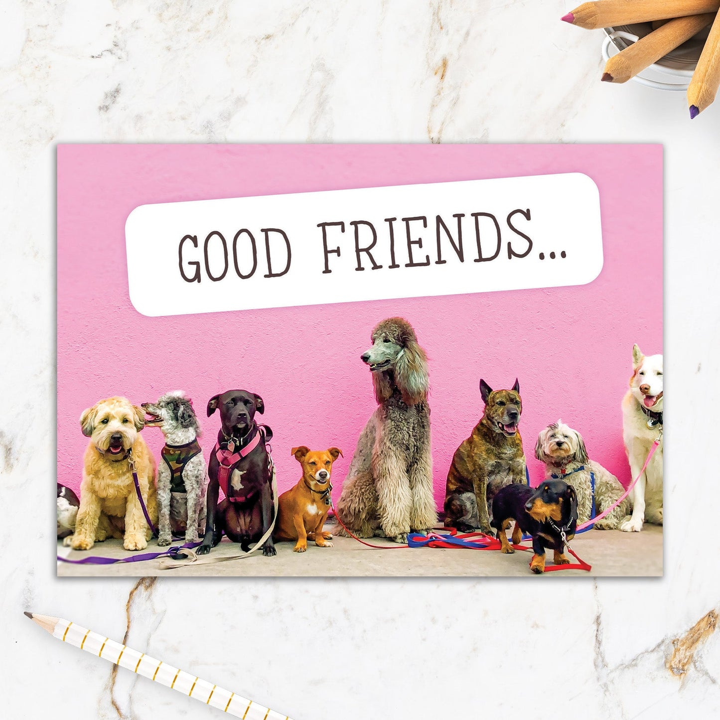 564-IOPE0312C | FR/Good Friends