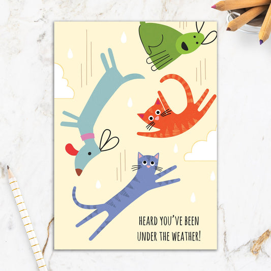 564-IOPE0314C | GW/Raining Cats and Dogs