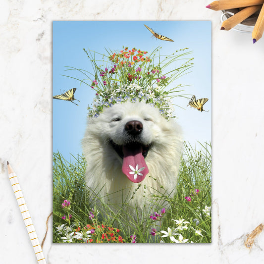 564-IOPE0315C | ED/Dog With Flower Crown