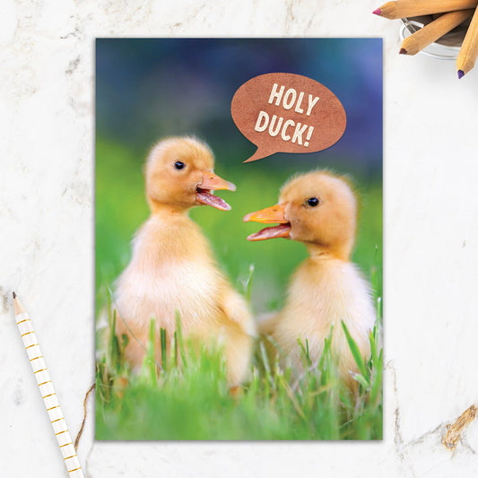 564-IOPE0481C | BD/Holy Duck