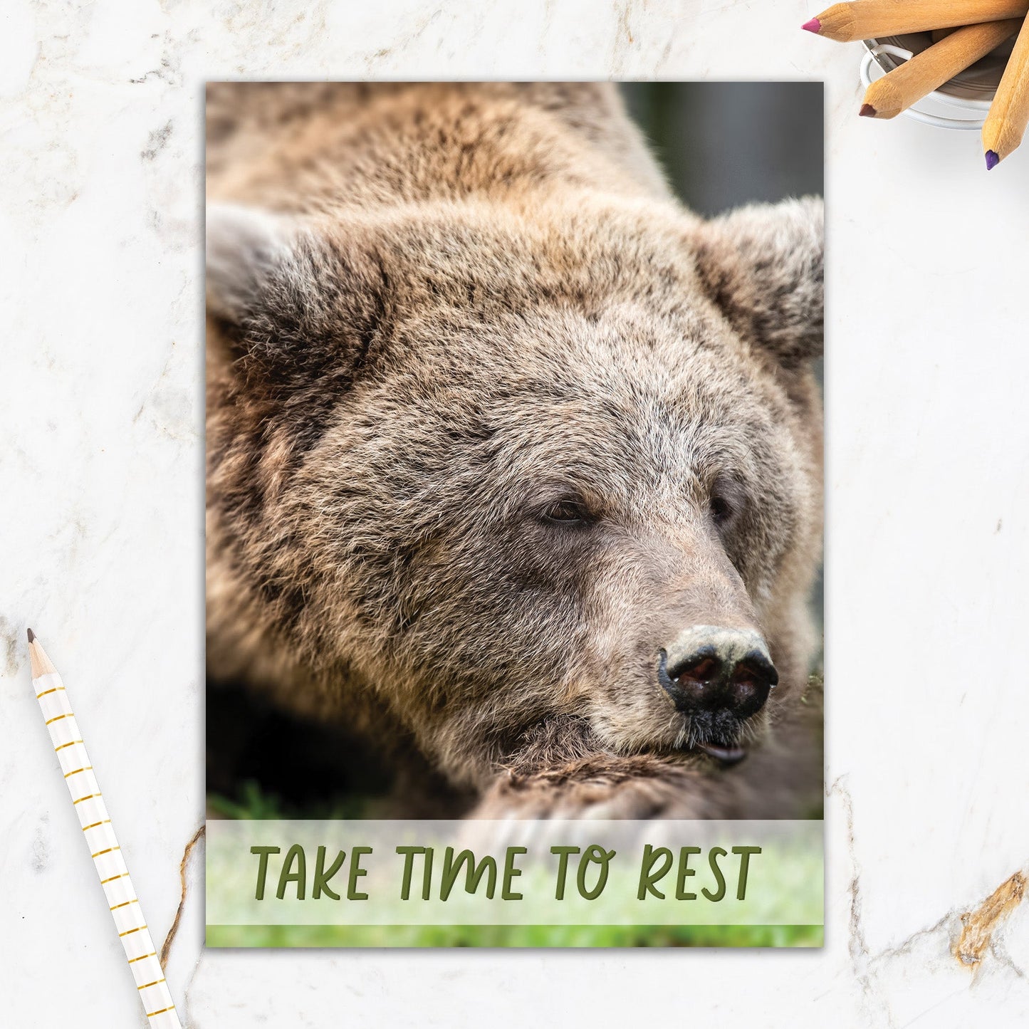 564-IOPE0482C | GW/Rest Bear