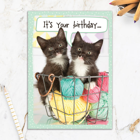 564-IOPE0488C | BD/Yarn Ball Kittens