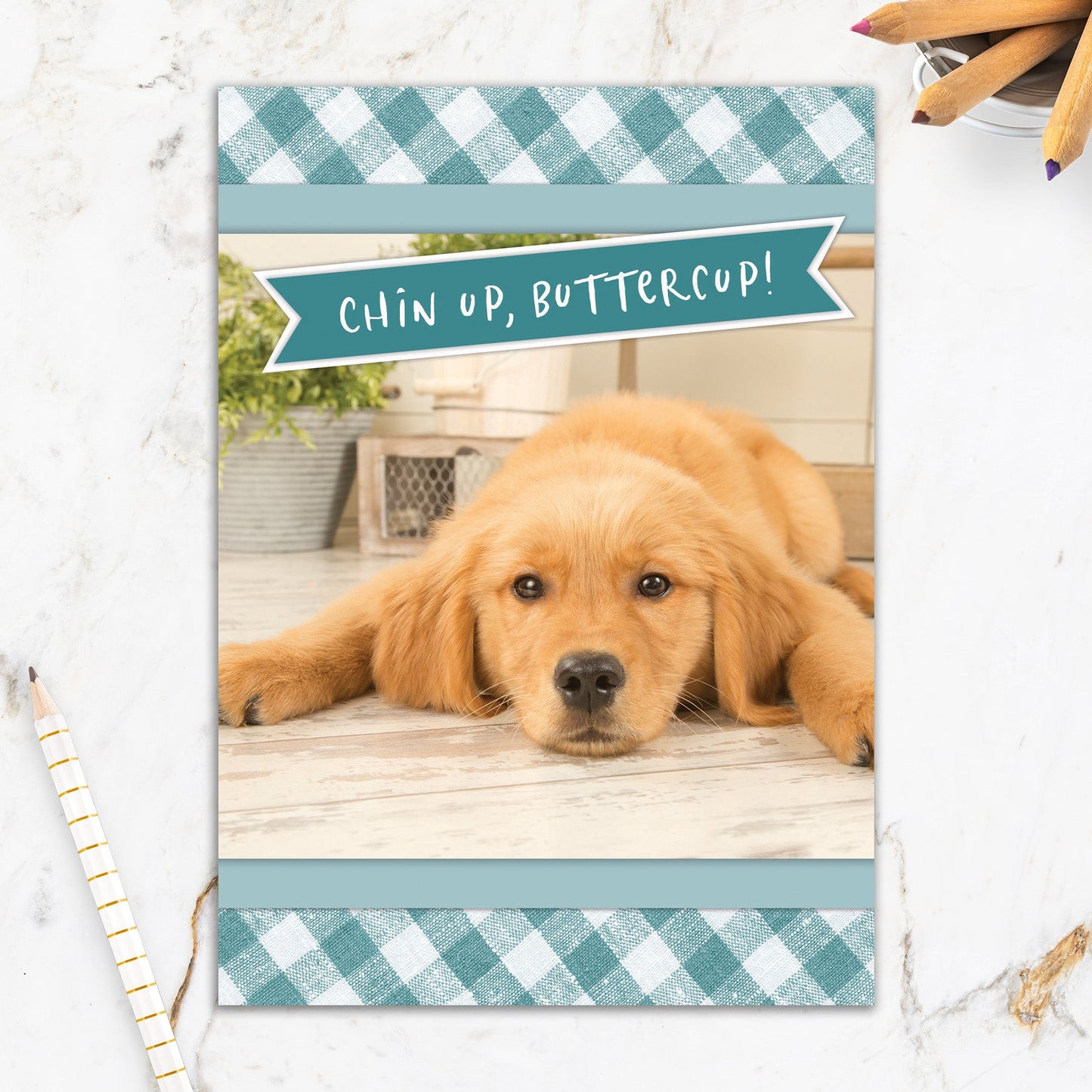 564-IOPE0490S | EN/Chin Up Puppy