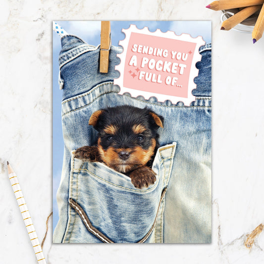 564-IOPE0496C | EN/Pocket Full Of