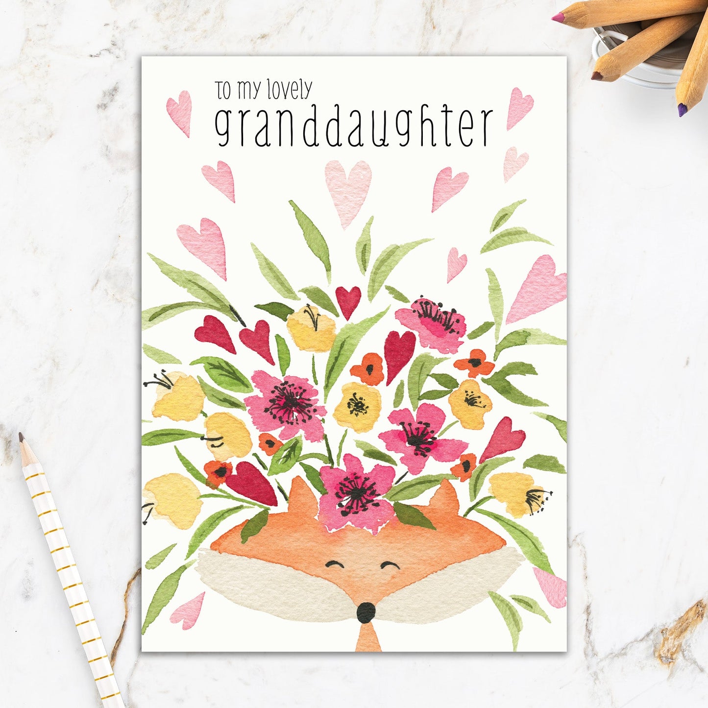 564-IOPE0535WC | RBD/Granddaughter Fox