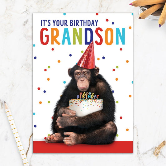 564-IOPE0536C | RBD/Grandson Chimp