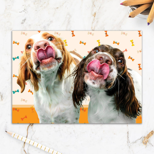 564-IOPE0658C | FR/Friendship Is