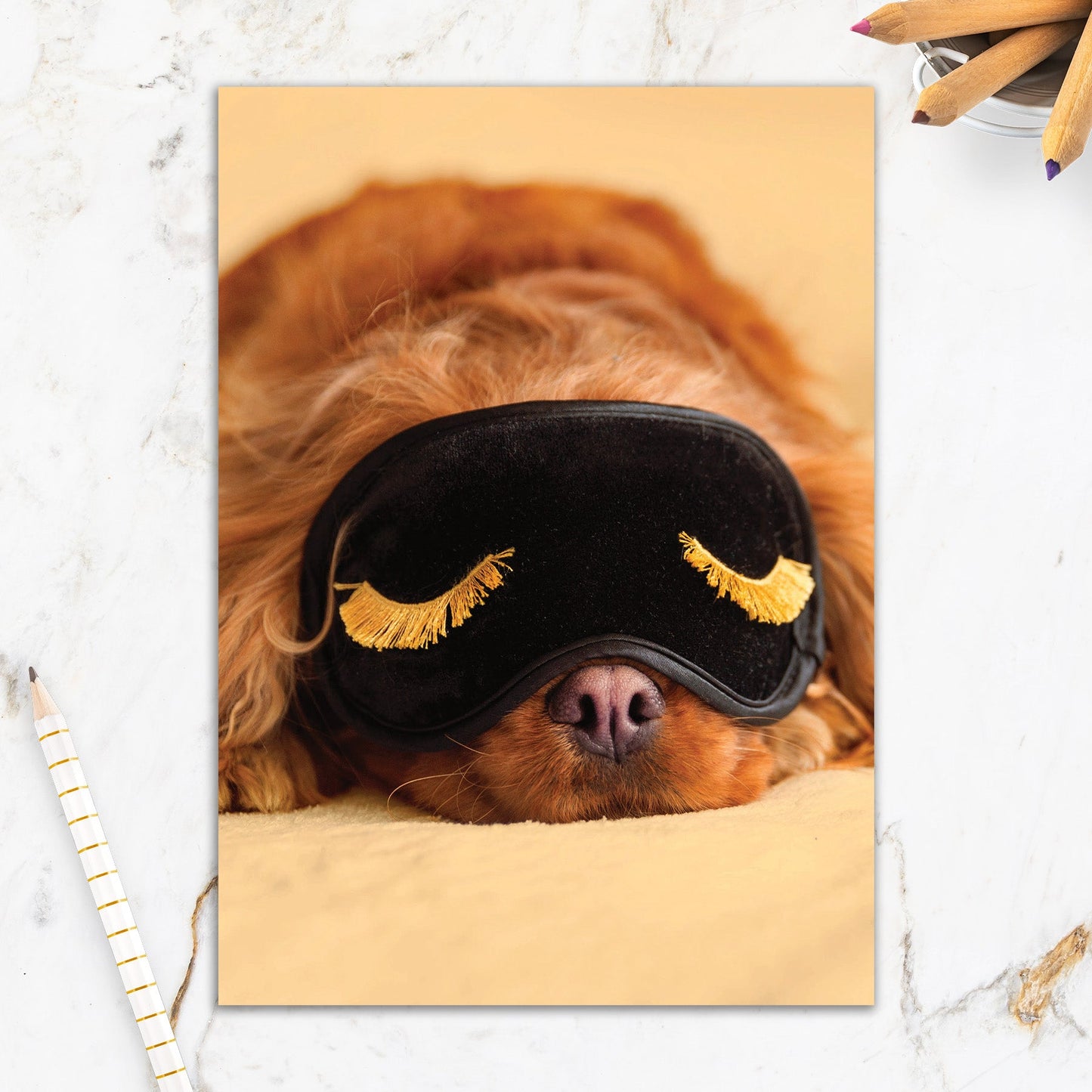 564-IOPE0664C | GW/Rest And Relaxation