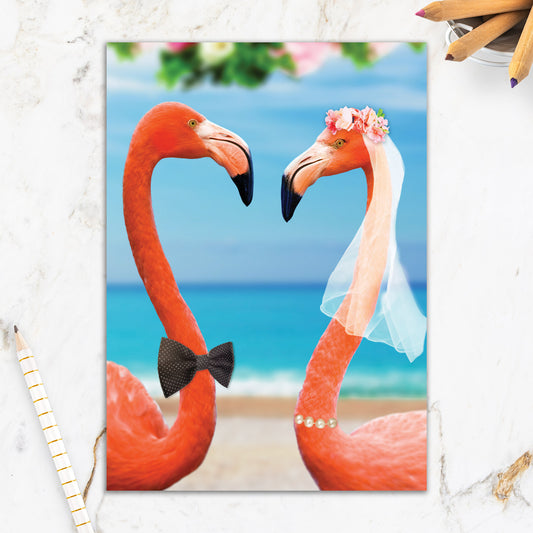 564-IOPE0665C | WD/Perfect Pair