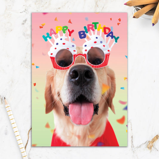 564-IOPE0666C | BD/Bright Birthday