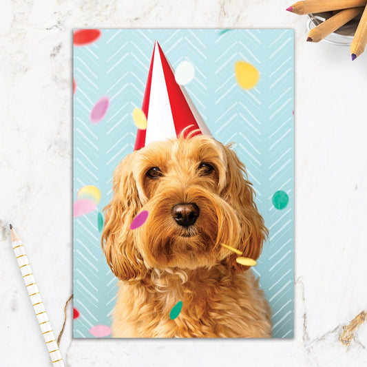 564-IOPE0667C | BD/Wear It Well