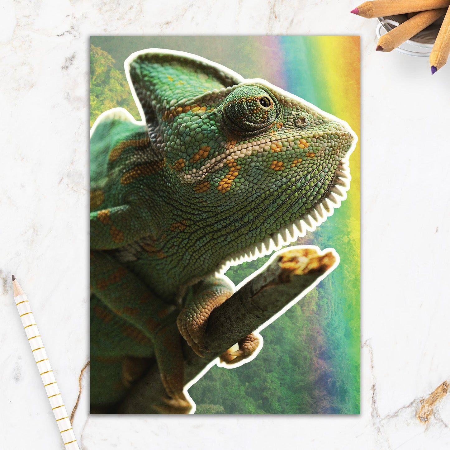 564-IOPE0670C | GW/Feeling Brighter