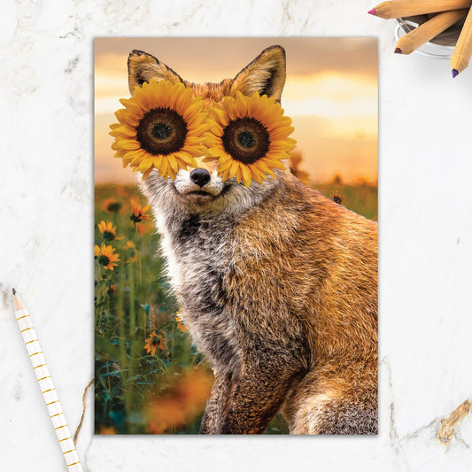 564-IOPE0672C | TH/A Little Sunshine