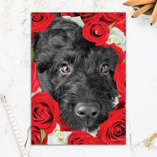 564-IOPE0674C | RO/Roses Are Red