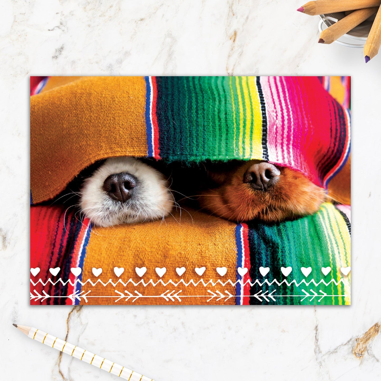 564-IOPE0676C | RO/Snuggle Up