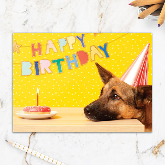 564-IOPE0680C | BBD/Glazed And Confused