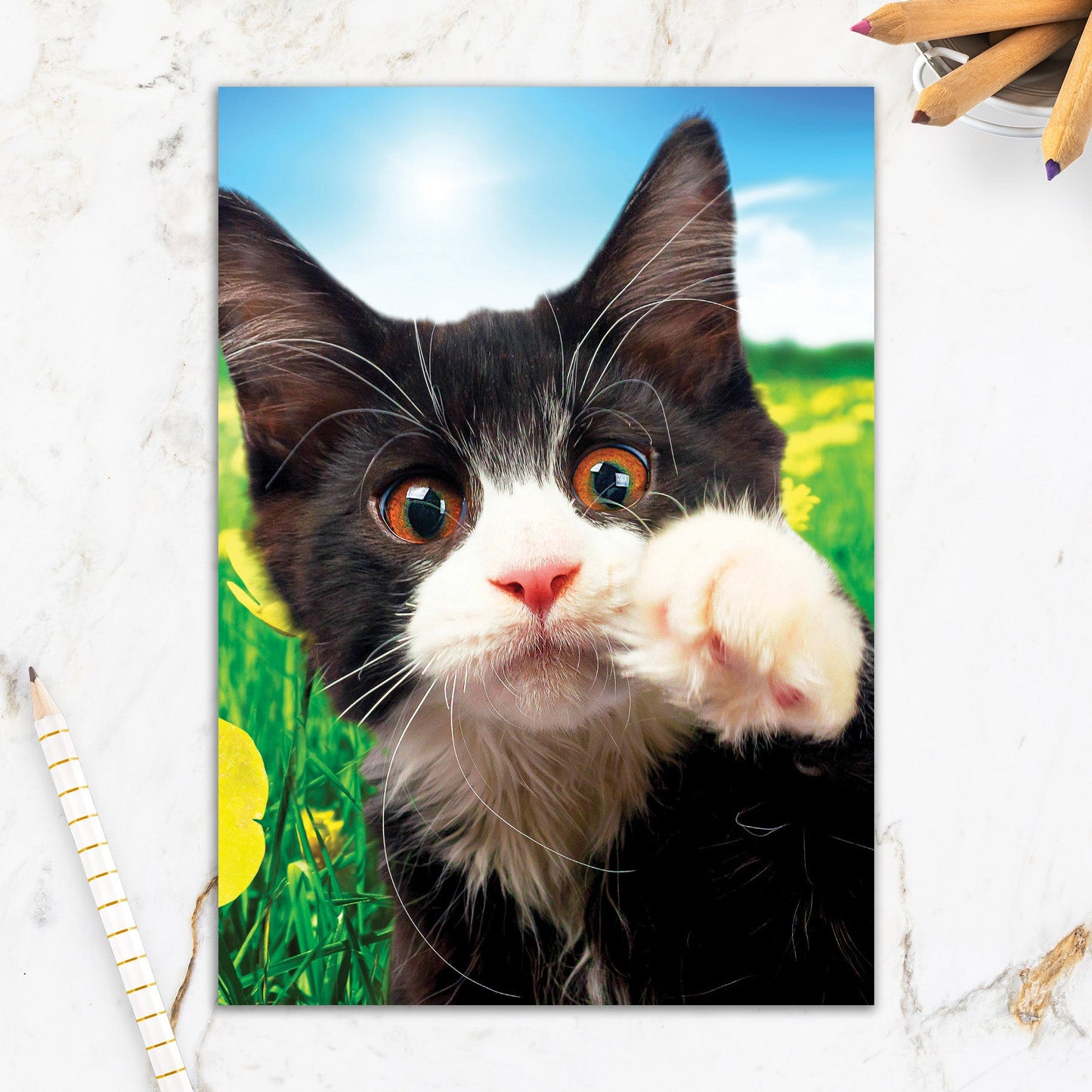 564-IOPE0682C | EN/A Helping Hand