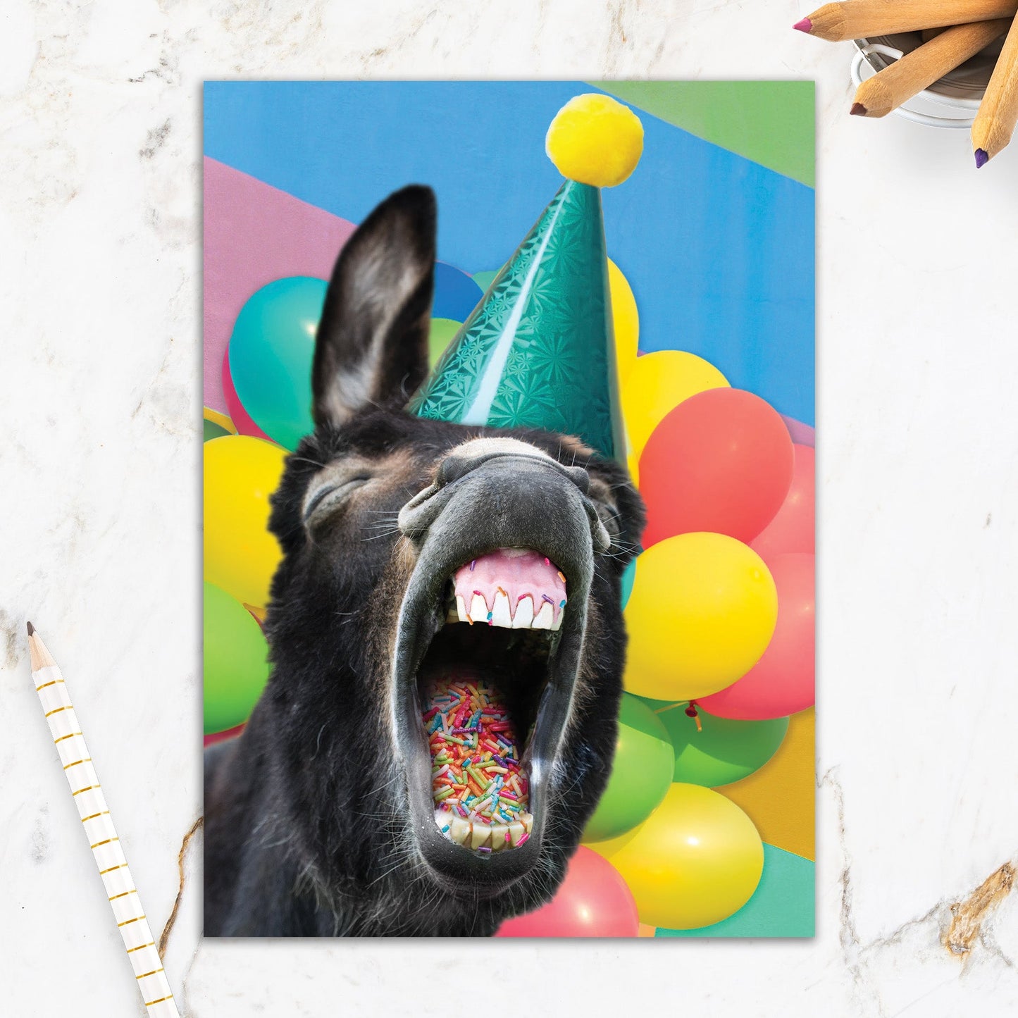 564-IOPE0683C | BD/Party Animal