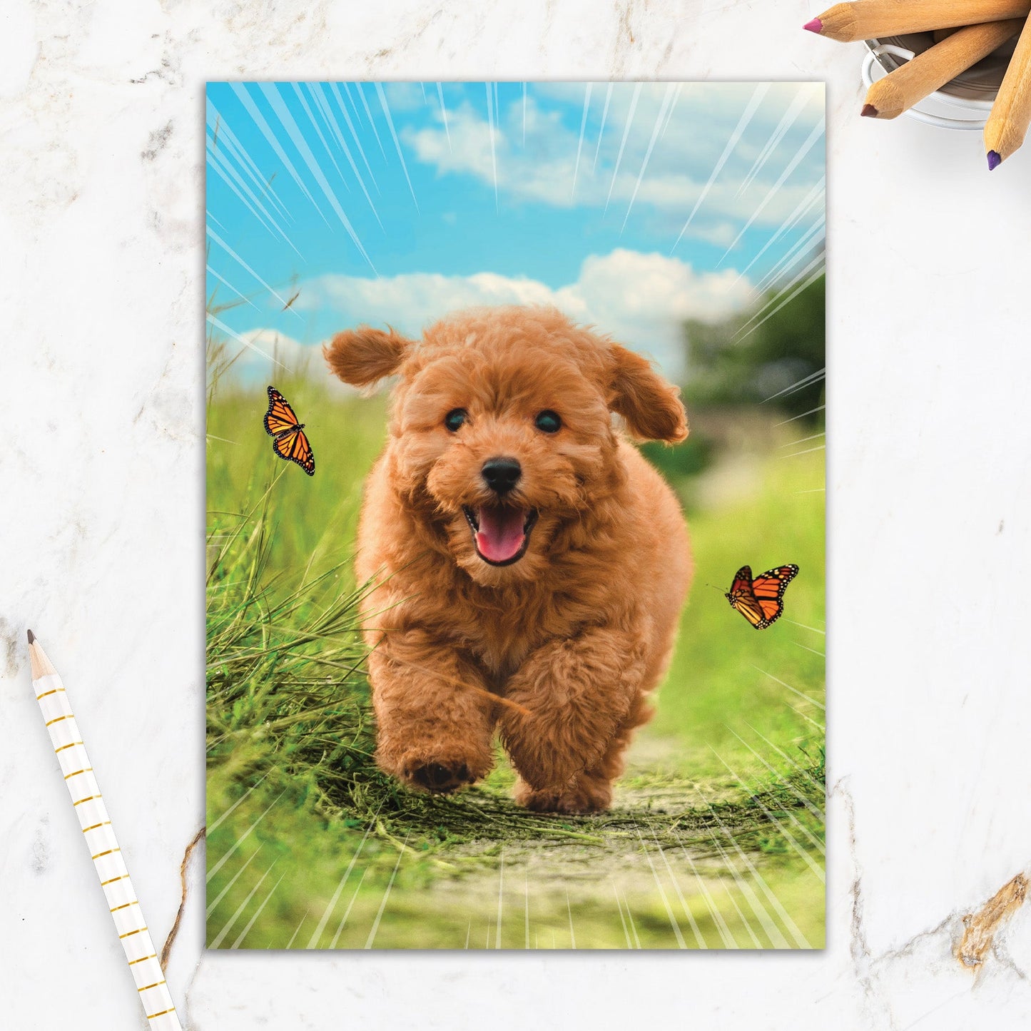 564-IOPE0684C | BD/Yippee-Ki-Yay