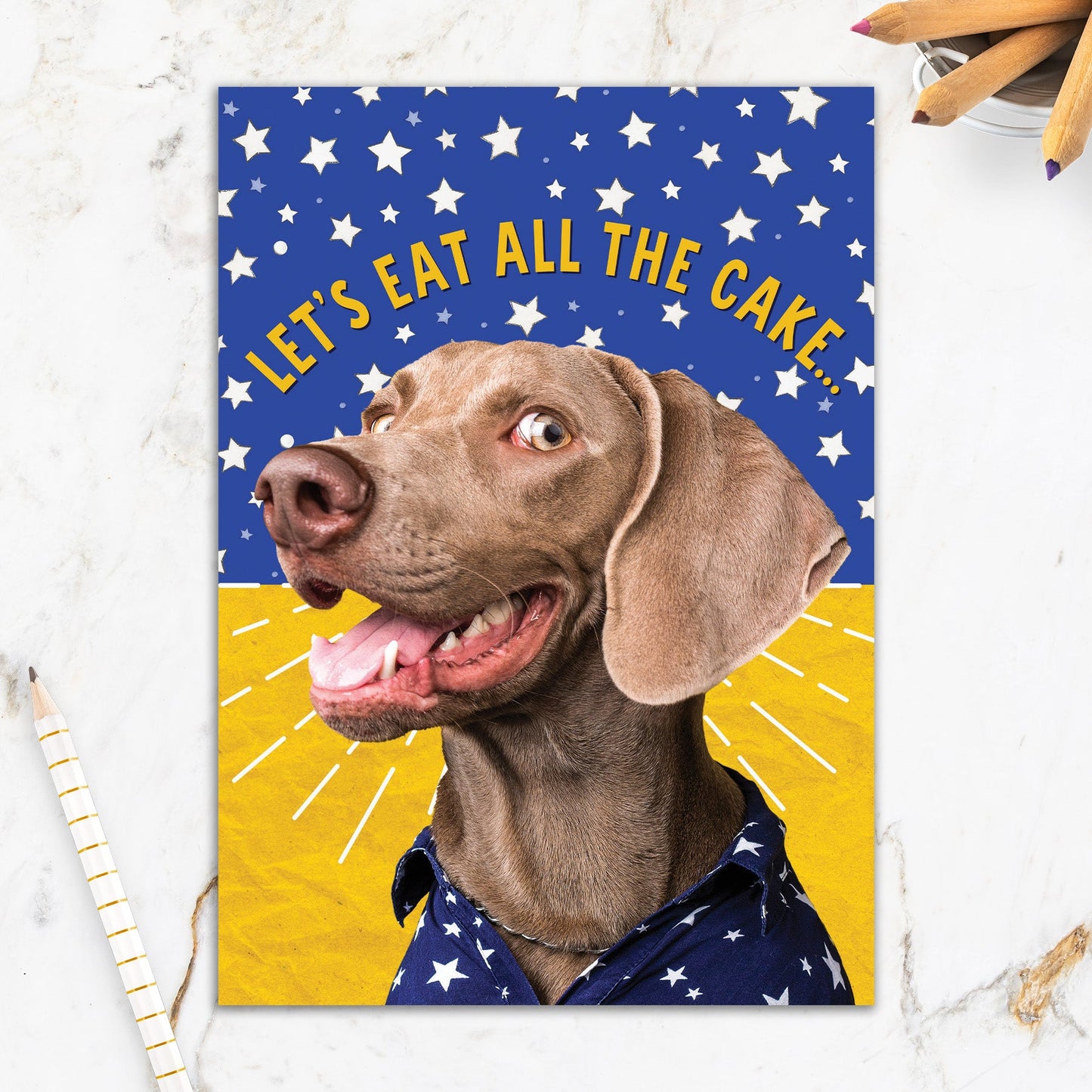 564-IOPE0692C | BD/It Was The Dog