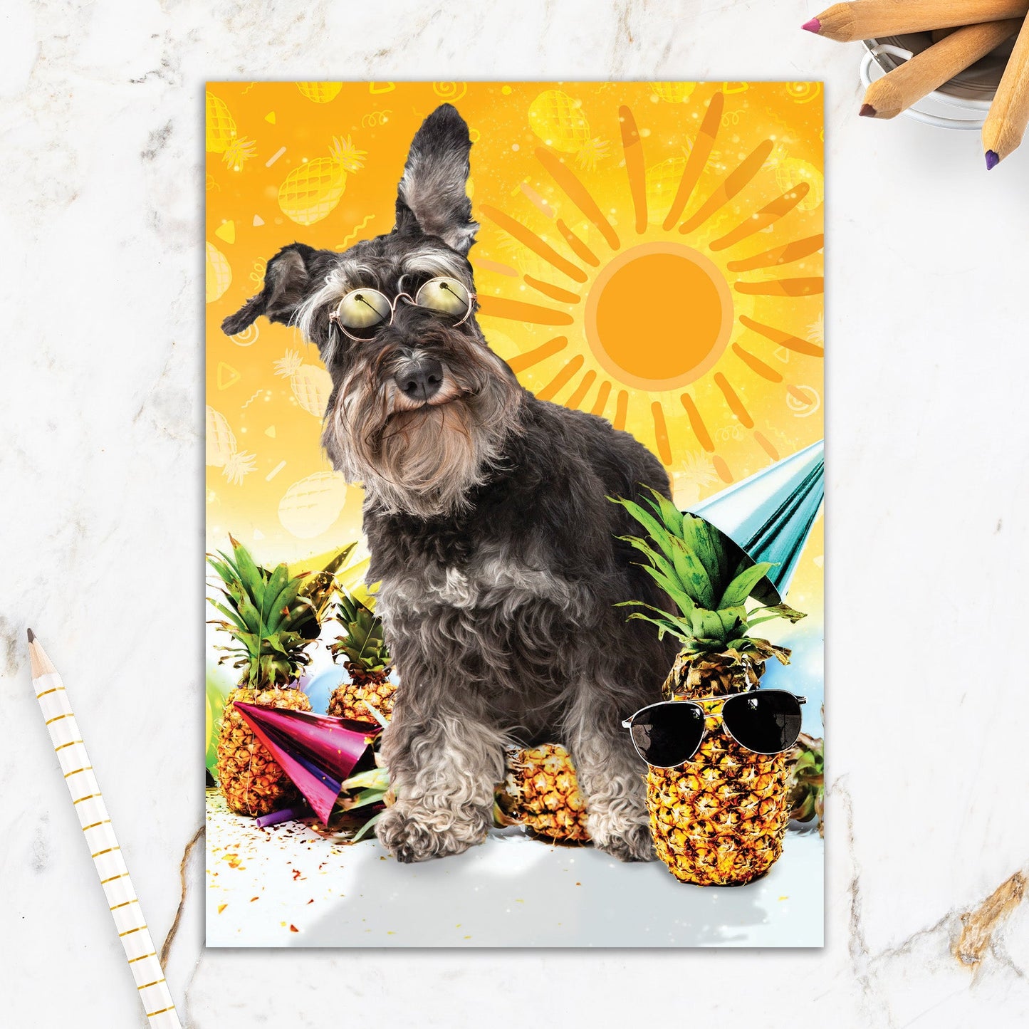 564-IOPE0693C | BD/Pineapple Pup