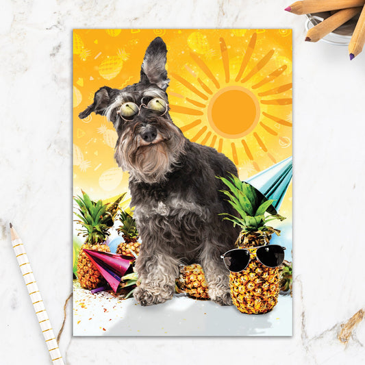 564-IOPE0693C | BD/Pineapple Pup