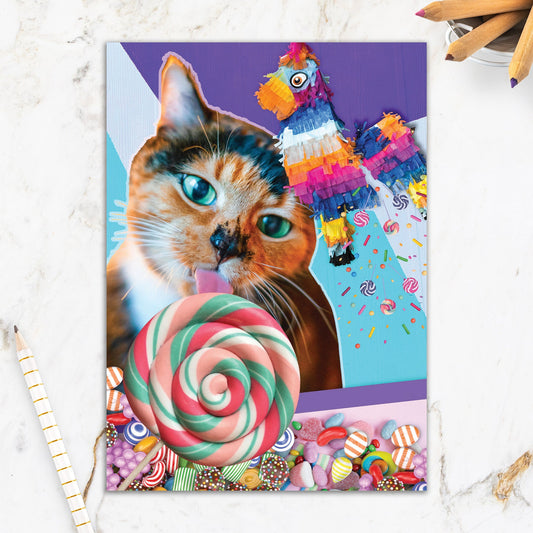 564-IOPE0695C | BD/Smashing Day