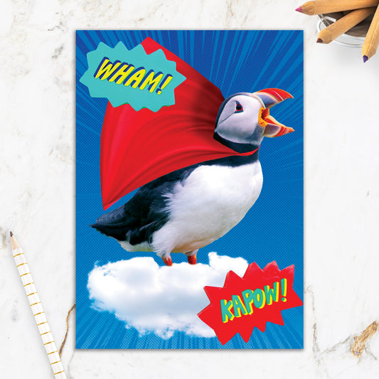 564-IOPE0696C | BD/Super Puffin