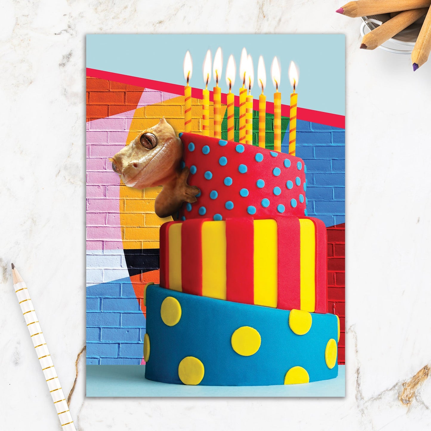 564-IOPE0698C | BD/Chameleon Cake