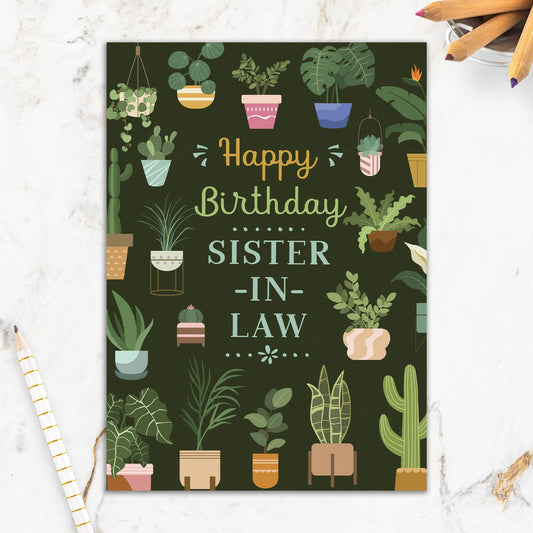 564-IOPE0976L | RBD/Sister In Law Plants