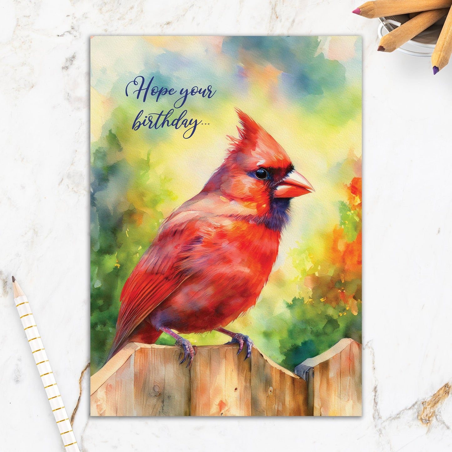 564-IOPE0988L | BD/Colourful Cardinal