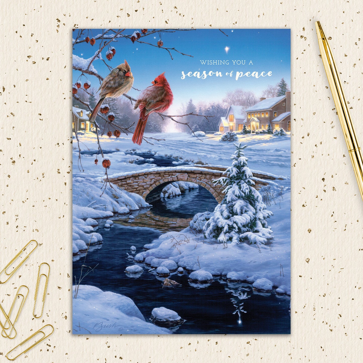 8564-IOPEOS0783S | HOL/Season Of Peace