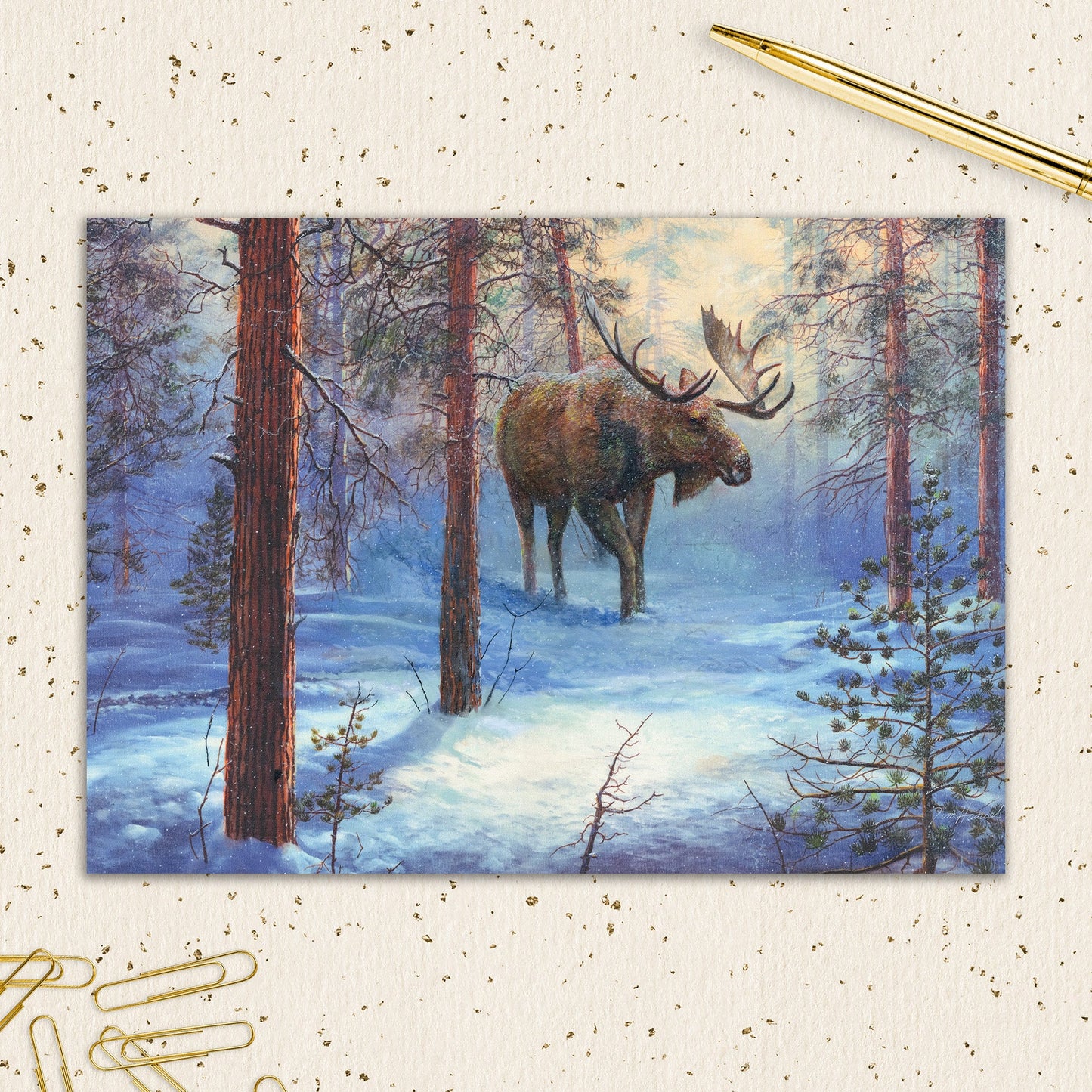8564-IOPEOS1087L | HOL/Moose in the Forest