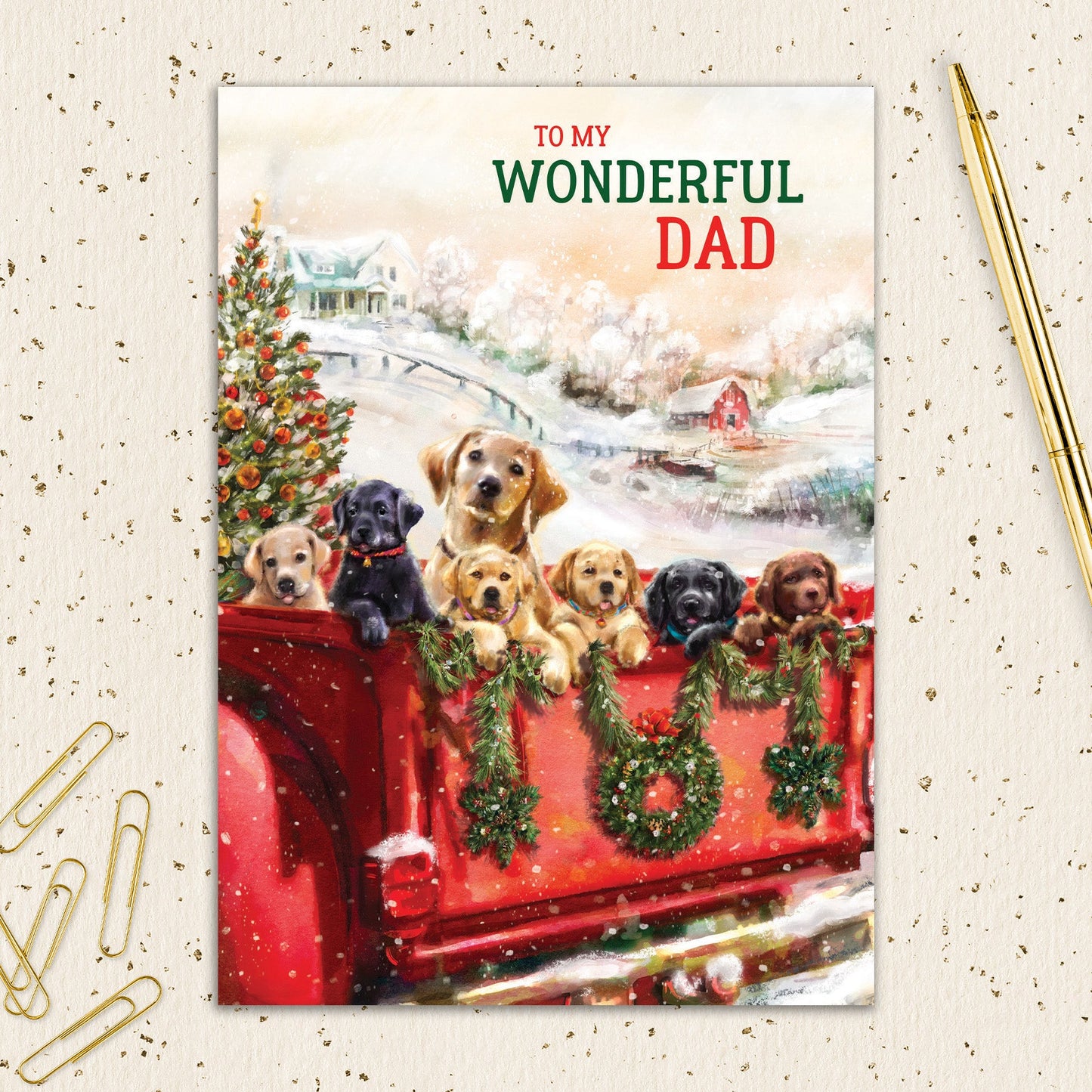 8564-IOPEOX0554L | XM/Dad Puppies