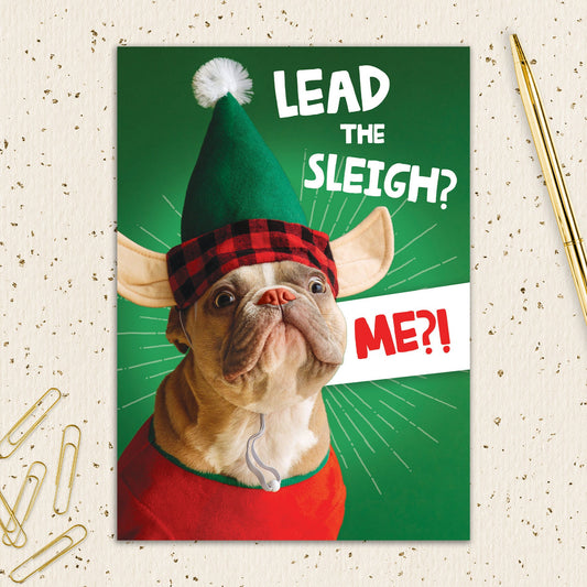 8564-IOPEOX0771C | XM/Lead The Sleigh