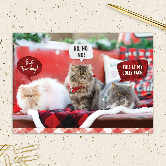 8564-IOPEOX0772C | XM/Grumpy Cats