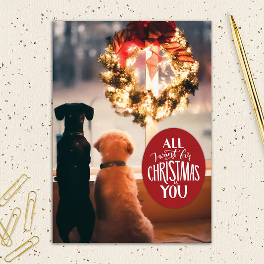 8564-IOPEOX0780C | XM/All I Want