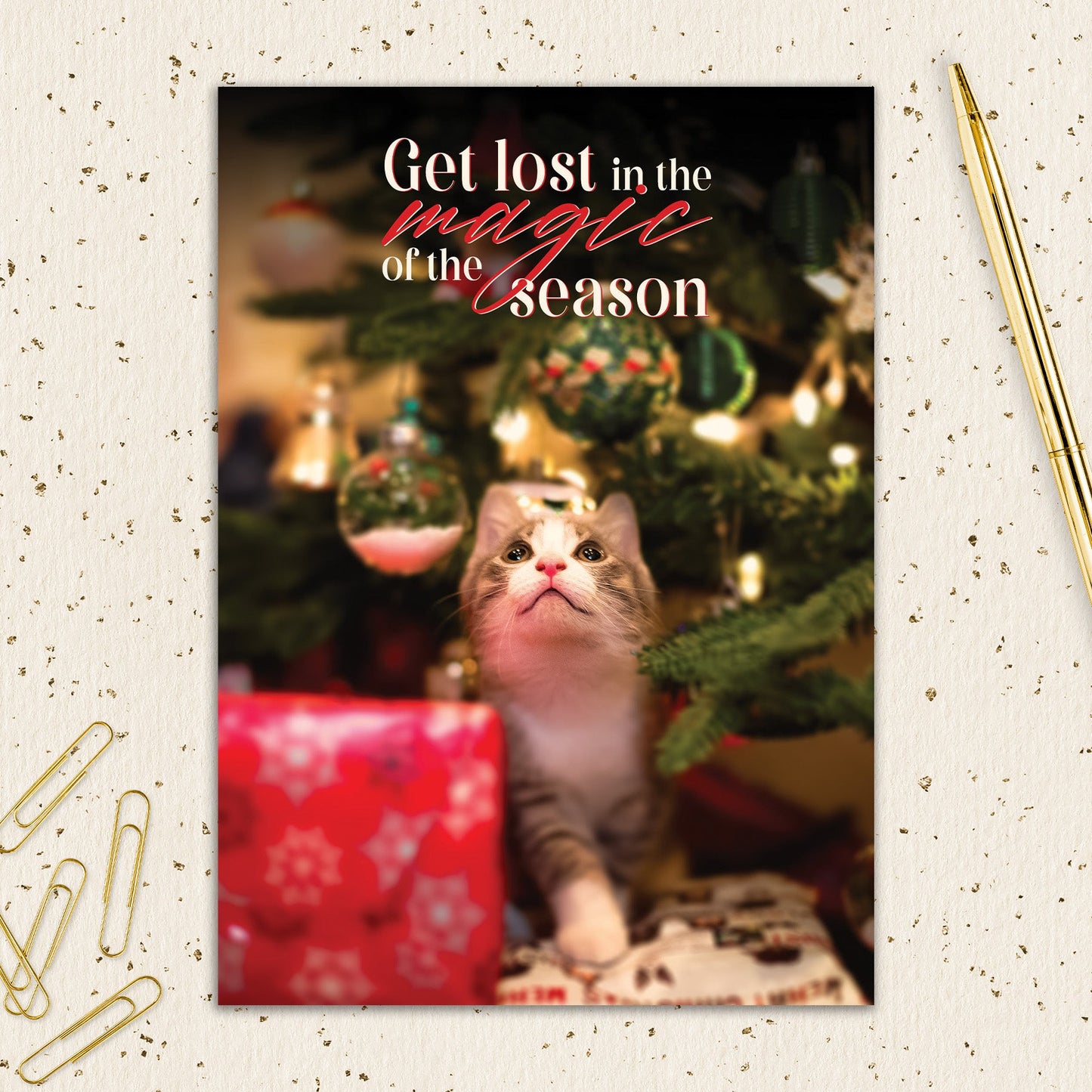 8564-IOPEOX0781C | XM/Magic Of The Season