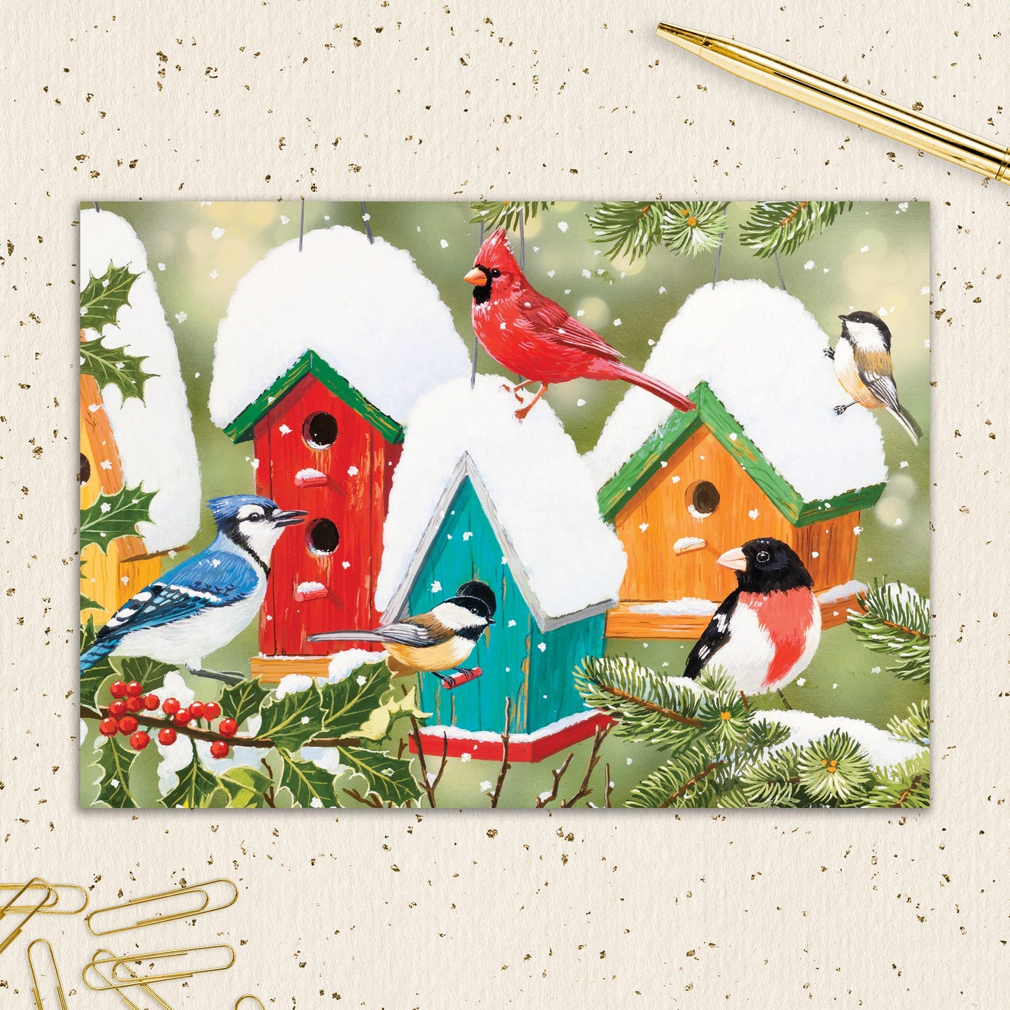 8564-IOPEOX1074L | XM/Snowy Birdhouses