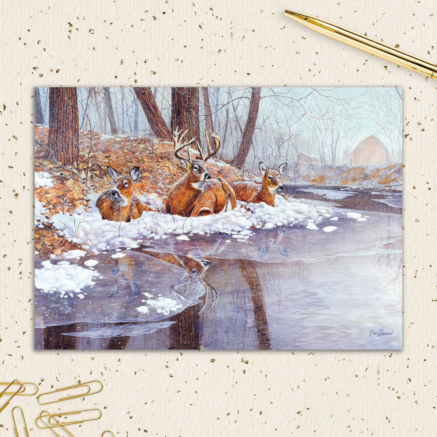 8564-IOPEOX1086L | XM/Deer at the Pond