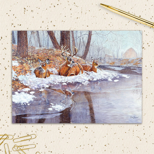 8564-IOPEOX1086L | XM/Deer at the Pond